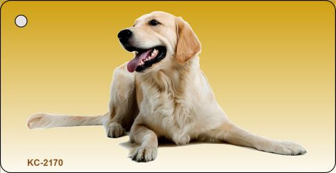 Golden Retriever Novelty Metal Key Chain KC-2170