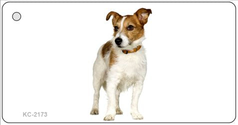 Jack Russell Terrier Novelty Metal Key Chain KC-2173