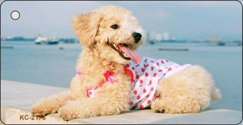Poodle Novelty Metal Key Chain KC-2176