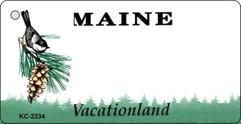 Maine State Blank Novelty Metal Key Chain KC-2234