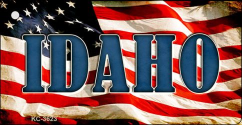 Idaho Novelty Aluminum Key Chain KC-3623