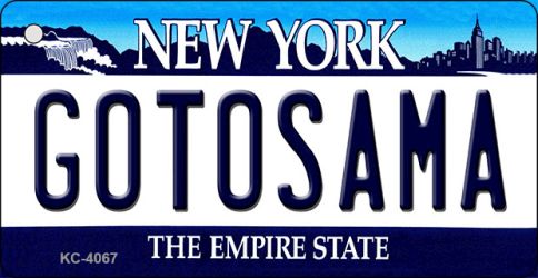 Gotosama New York State License Plate Tag Key Chain KC-4067