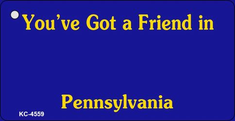 Pennsylvania State Blank Novelty Metal Key Chain KC-4559