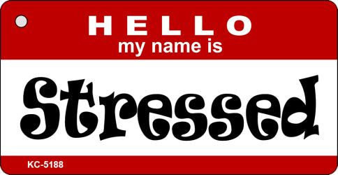 Stressed Novelty Aluminum Key Chain KC-5188