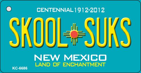Skool Suks Teal New Mexico Novelty Metal Key Chain KC-6686