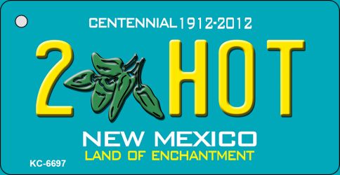 2 Hot Teal New Mexico Novelty Metal Key Chain KC-6697