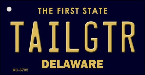 Tailgtr Delaware State License Plate Tag Key Chain KC-6705