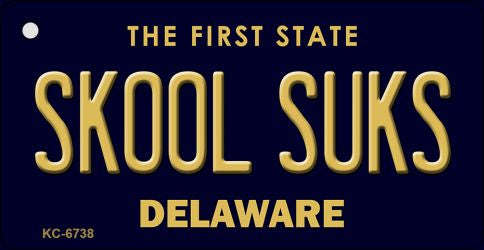 Skool Suks Delaware State License Plate Tag Key Chain KC-6738