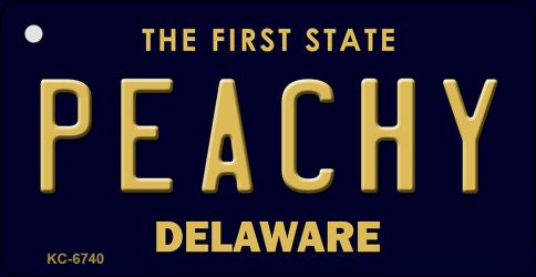 Peachy Delaware State License Plate Tag Key Chain KC-6740