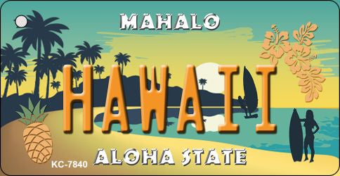 Hawaii Pineapple Novelty Metal Key Chain KC-7840