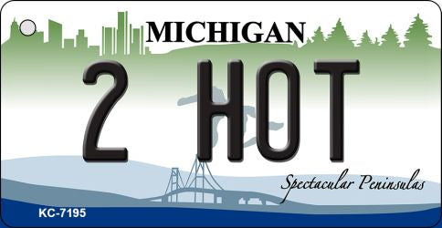 2 Hot Michigan State License Plate Tag Novelty Key Chain KC-7915