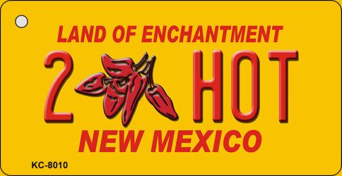 2 Hot Yellow New Mexico Novelty Metal Key Chain KC-8010
