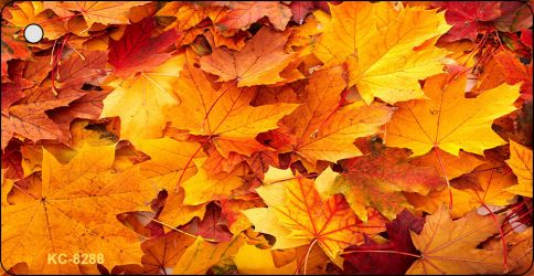 Fall Leaves Novelty Aluminum Key Chain KC-8288