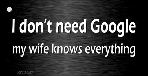 Dont Need Google Novelty Metal Key Chain KC-8347