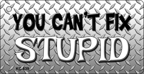 Can't Fix Stupid Novelty Aluminum Key Chain KC-839