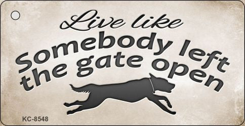 Gate Open Novelty Metal Key Chain KC-8548