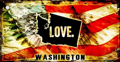 Washington Love Novelty Metal Key Chain KC-8633