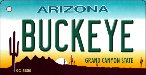 Buckeye Arizona Novelty Metal Key Chain KC-8650