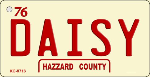 Daisy Novelty Metal Key Chain KC-8713