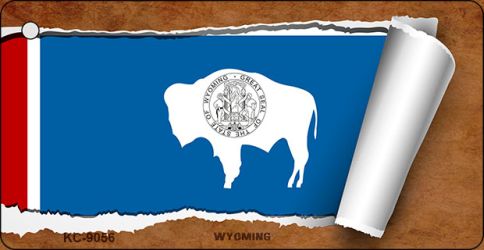 Wyoming Flag Scroll Novelty Aluminum Key Chain KC-9056