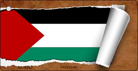 Palestine Flag Scroll Novelty Aluminum Key Chain KC-9263