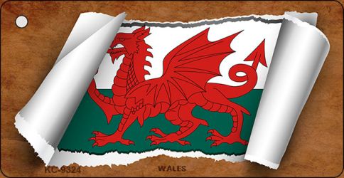 Wales Flag Scroll Novelty Aluminum Key Chain KC-9324