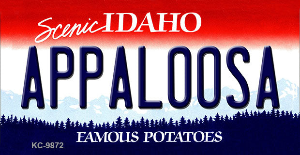 Appaloosa Idaho State Metal Novelty Aluminum Key Chain KC-9872