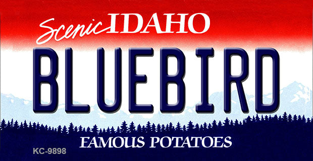 Bluebird Idaho State Metal Novelty Aluminum Key Chain KC-9898