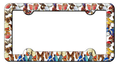 Butterflies Novelty Metal License Plate Frame LPF-020