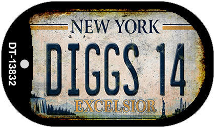 Diggs 14 Excelsior New York Rusty Novelty Metal Dog Tag Necklace