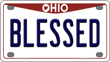 Blessed Ohio Novelty Mini Metal License Plate Tag