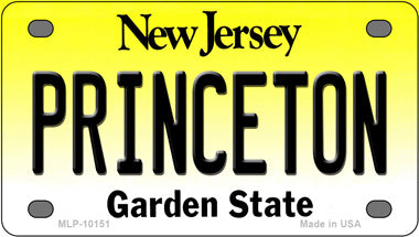 Princeton New Jersey Novelty Mini Metal License Plate Tag