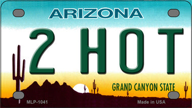 2 Hot Arizona Novelty Mini Metal License Plate Tag