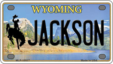 Jackson Wyoming Novelty Mini Metal License Plate Tag