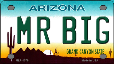 Mr Big Arizona Novelty Mini Metal License Plate Tag