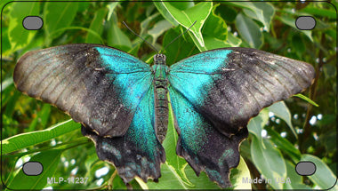 Butterfly Blue and Black Novelty Mini Metal License Plate Tag