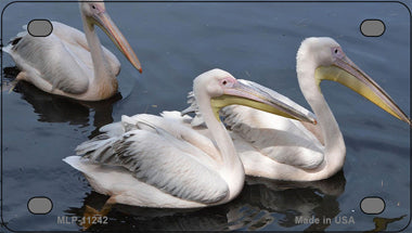 Pelican Three On Water Novelty Mini Metal License Plate Tag