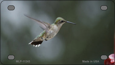 Hummingbird In Flight Novelty Mini Metal License Plate Tag