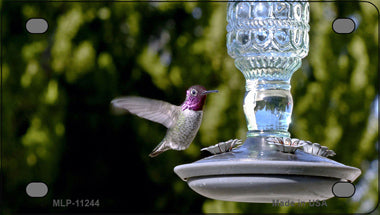 Hummingbird At Feeder Novelty Mini Metal License Plate Tag