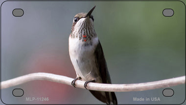 Hummingbird Perched On Branch Novelty Mini Metal License Plate Tag