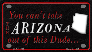 Arizona Dude Novelty Mini Metal License Plate Tag