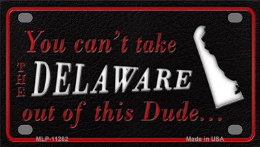 Delaware Dude Novelty Mini Metal License Plate Tag