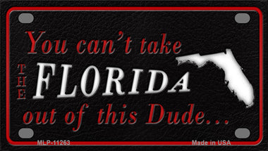 Florida Dude Novelty Mini Metal License Plate Tag