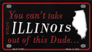 Illinois Dude Novelty Mini Metal License Plate Tag