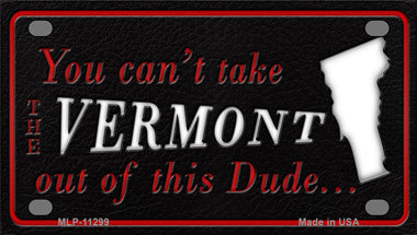 Vermont Dude Novelty Mini Metal License Plate Tag