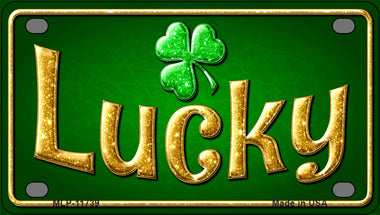 Lucky Irish Novelty Mini Metal License Plate Tag
