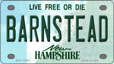 Barnstead New Hampshire Novelty Mini Metal License Plate Tag