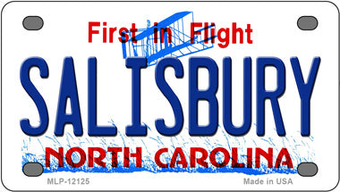 Salisbury North Carolina Novelty Mini Metal License Plate Tag