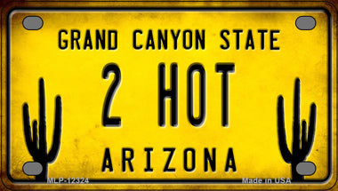 Arizona 2 Hot Novelty Mini Metal License Plate Tag