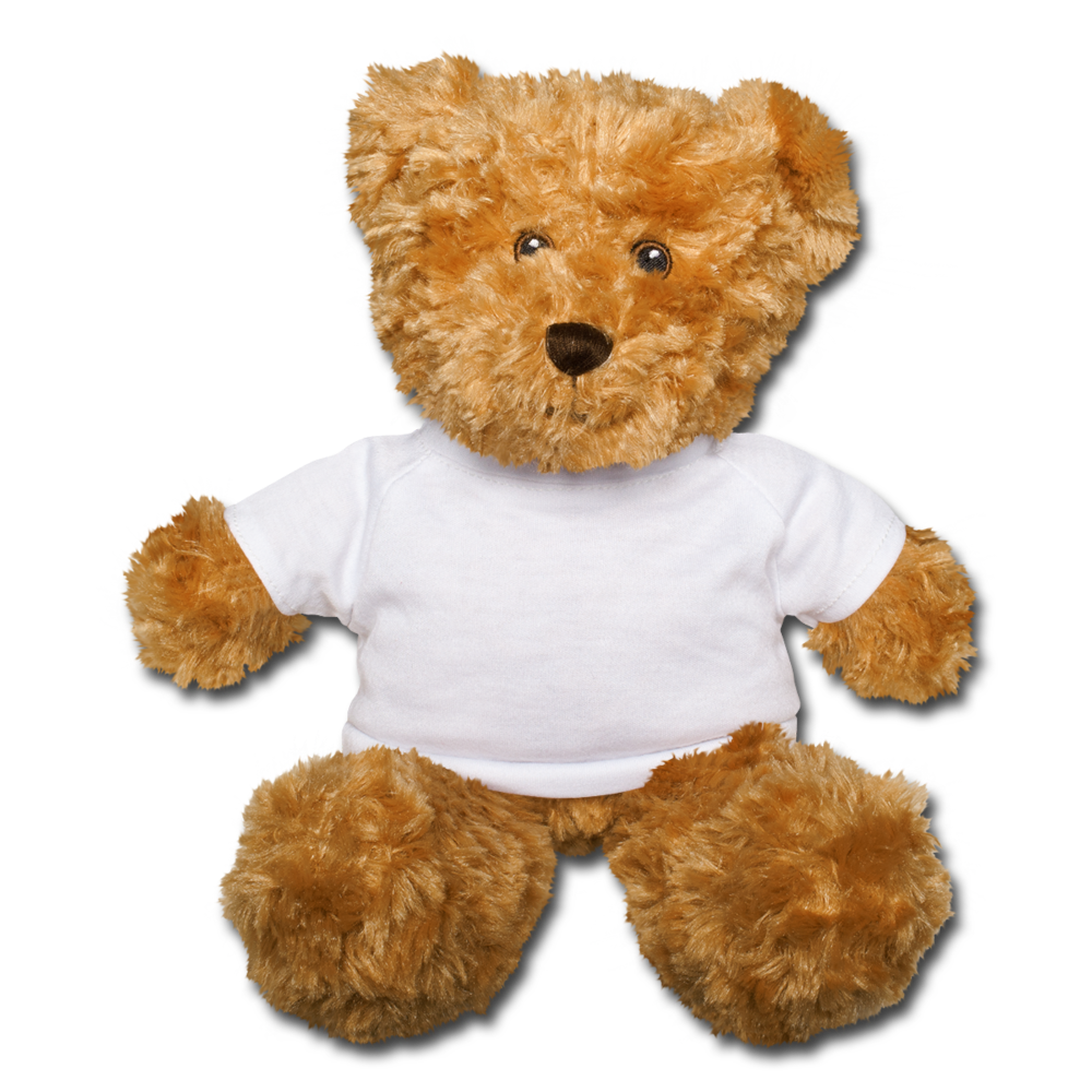Customizable Teddy Bear add your own photos, images, designs, quotes and more - white